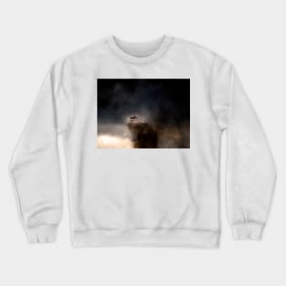 RAF Tornado Crewneck Sweatshirt